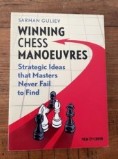 33962 Guliev, S. Winning chess manoeuvres, Strategic Ideas that Masters Never fail to Find