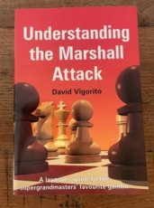 34007 Vigorito, D. Understanding the Marshall Attack