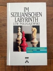 Polugajewski, L. Im Sizilianischen Labyrinth, Strategische Geheimnisse, Endspiel