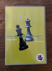 34502 Bangiev, A. Chess training, Squares strategy 1