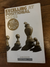35655 Aagaard, J. Excelling at positional chess